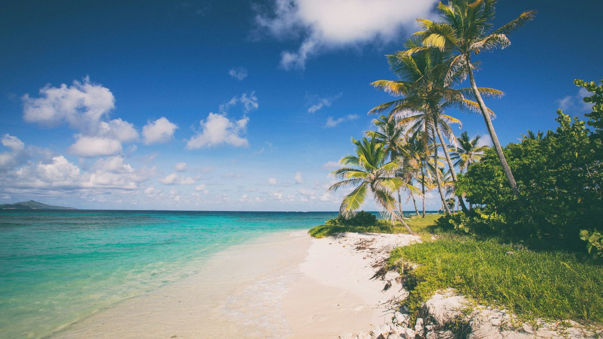 Explore the Caribbean Dream: Citizenship by Investment Opportunities